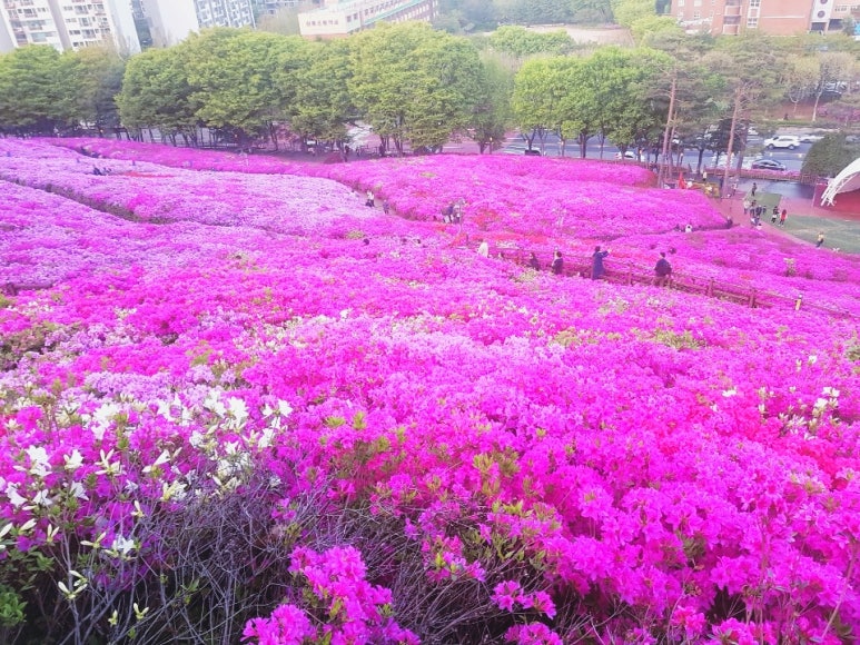 삼경요양병원 이미지