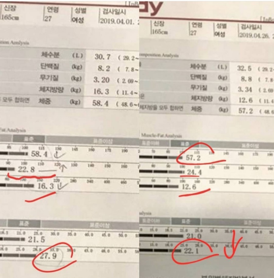팩트짐 이미지