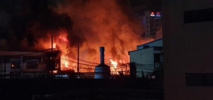 제비표페인트 이미지