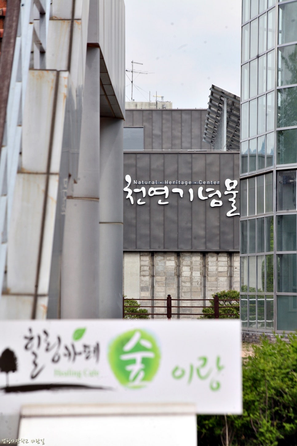 허브힐링카페 이미지