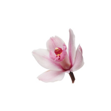 33블럭 이미지