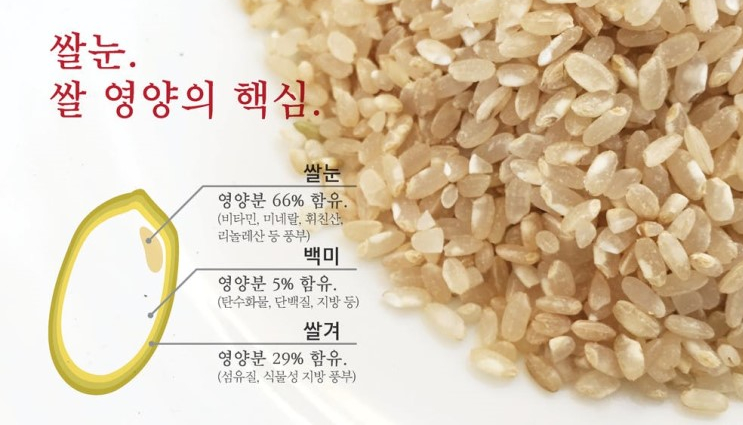 햇살떡집 이미지