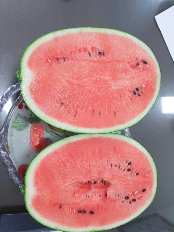 찬들애 이미지