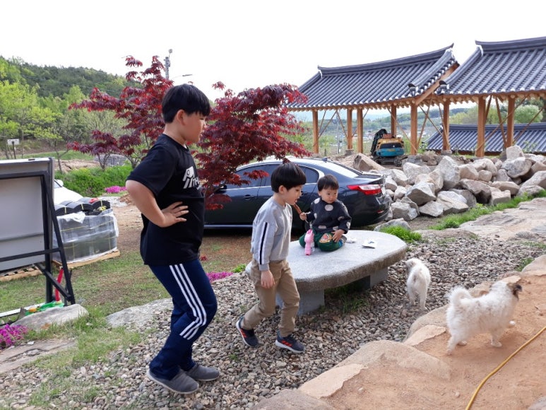 꼬꼬마을 이미지