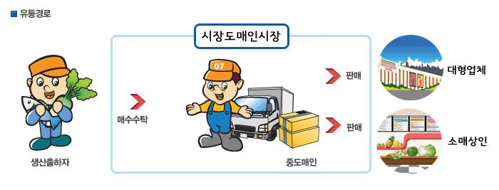 중.도매인 이미지