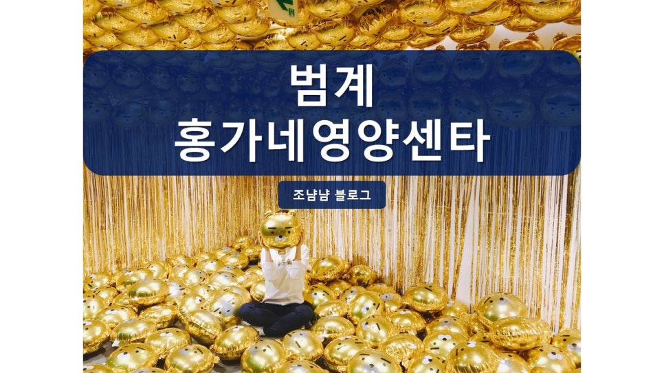 홍가네영양센타 이미지