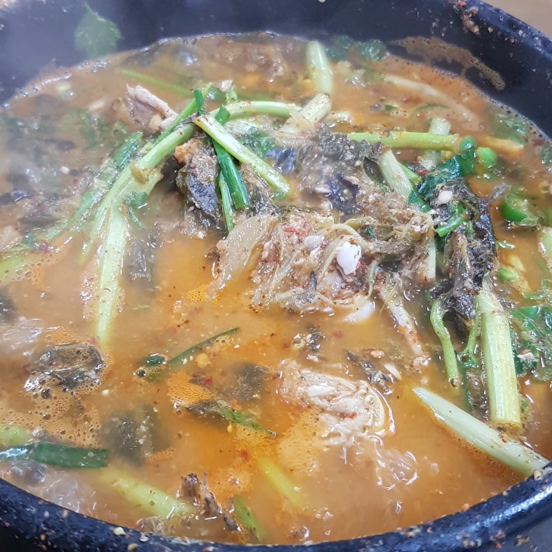 엄니민물고기 이미지