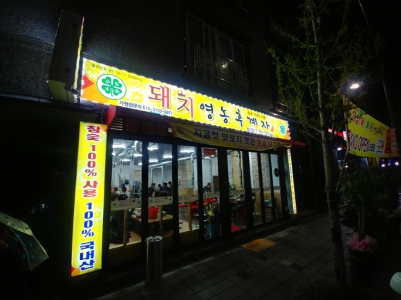돼지영농후계자 이미지