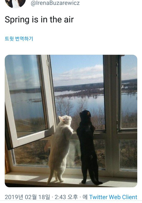 수다다카페 이미지