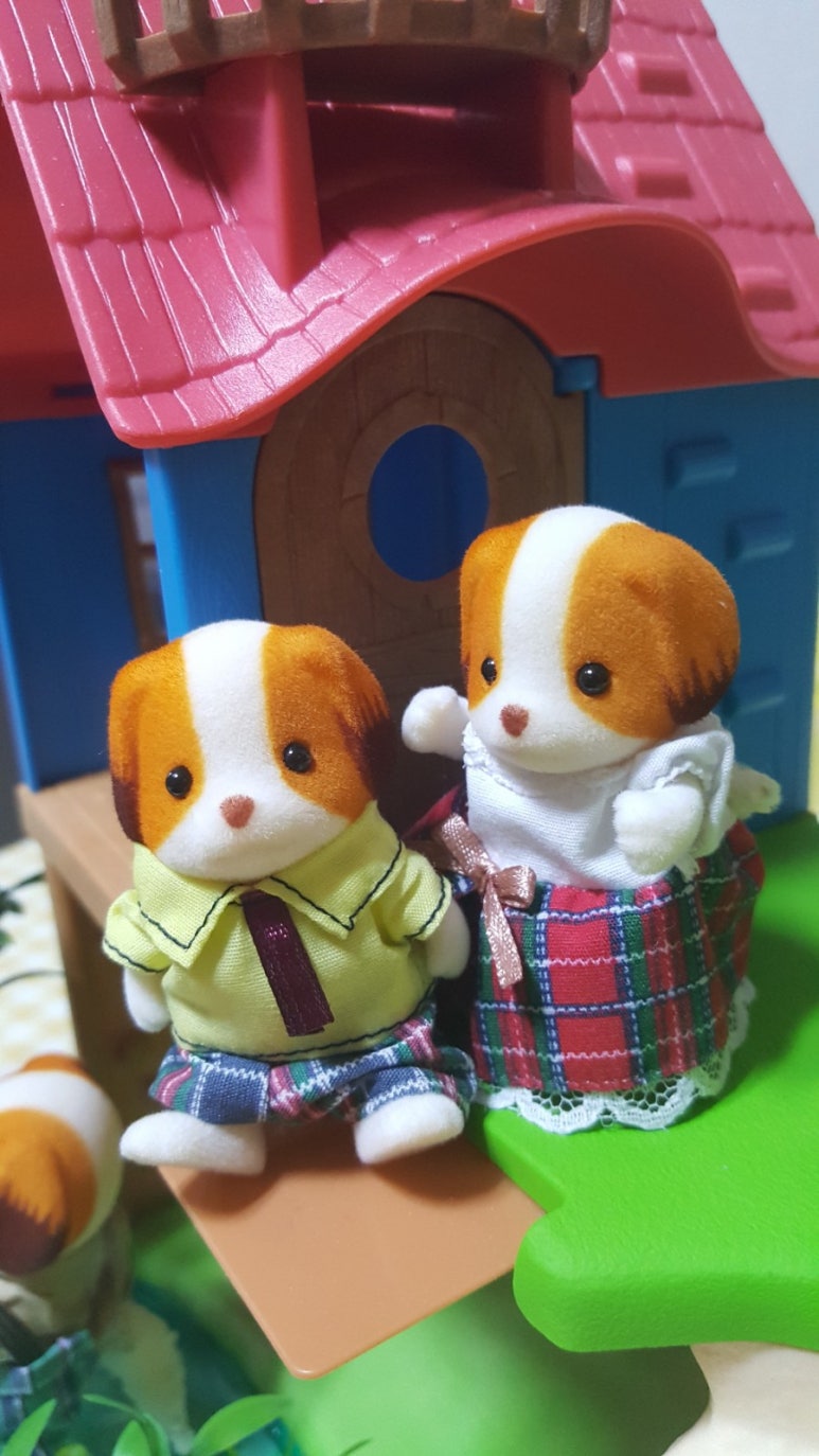 숲속아일랜드유치원 이미지