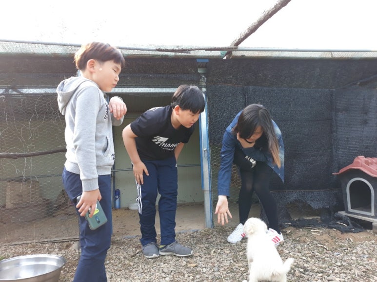 꼬꼬마을 이미지
