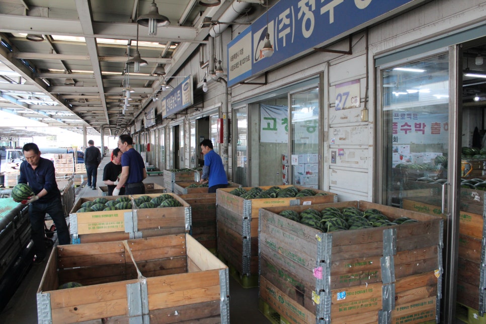 중.도매인 이미지