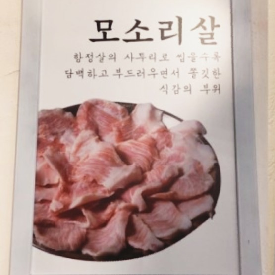 중문뚱보집 이미지
