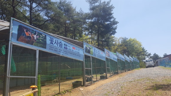 숲속의 베리팜 이미지