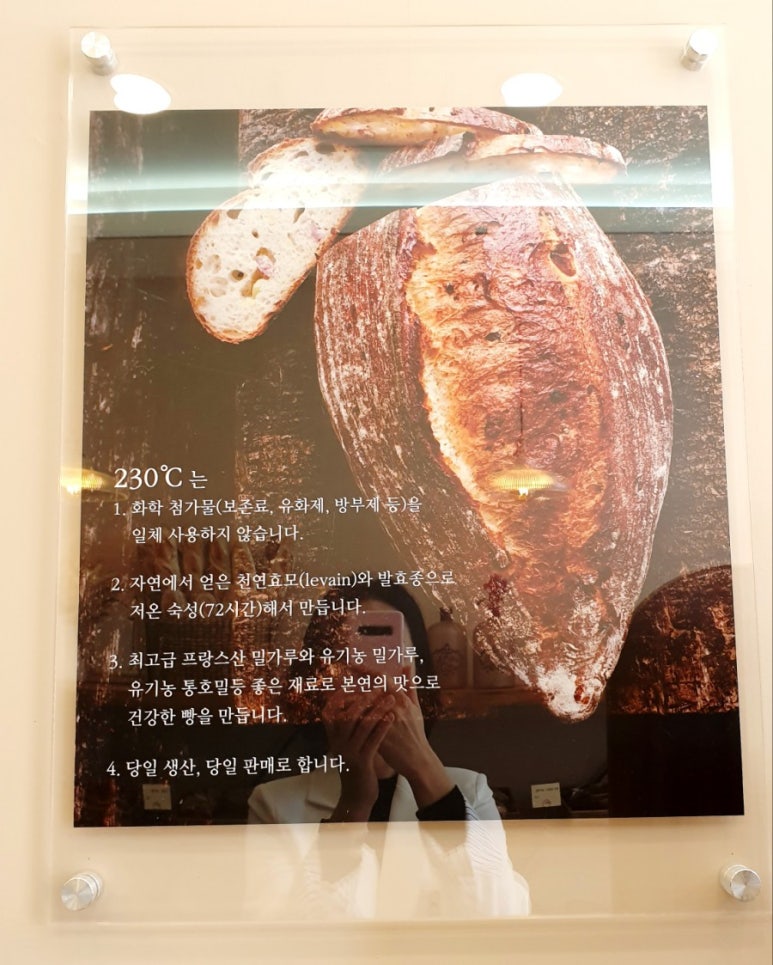 230도씨 이미지