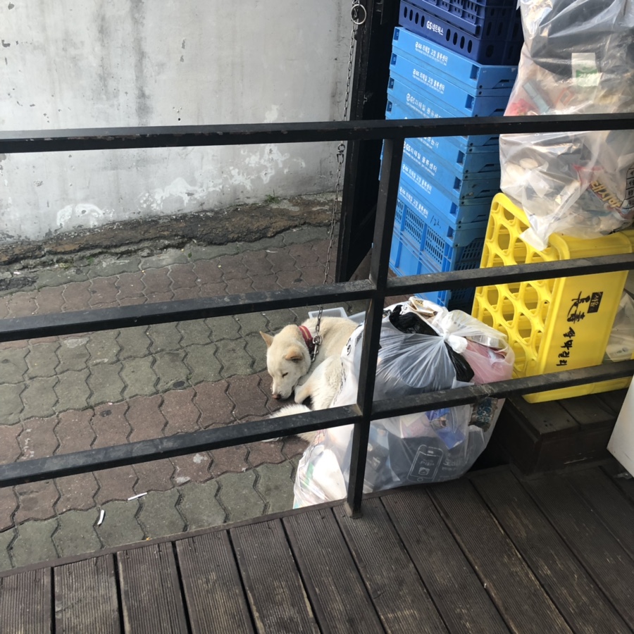 크로바편의점 이미지
