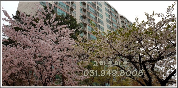 교하 청석 스포츠센타 이미지