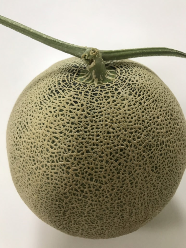 강변카랜드 이미지