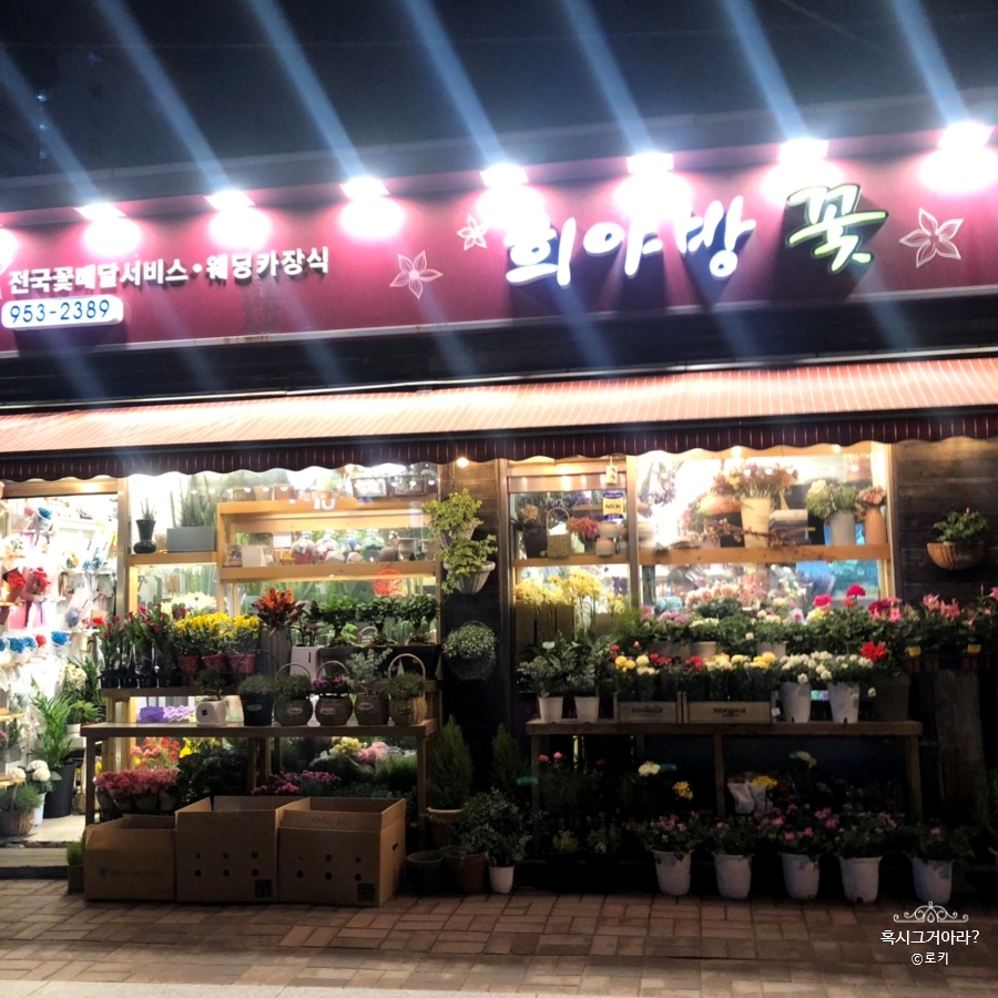 희야방 이미지