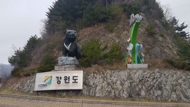 빨강부엉이 이미지