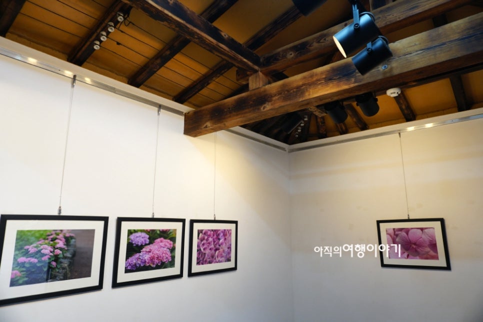 수애리 이미지