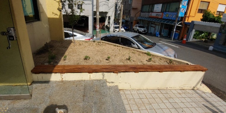 라뽈리스 이미지