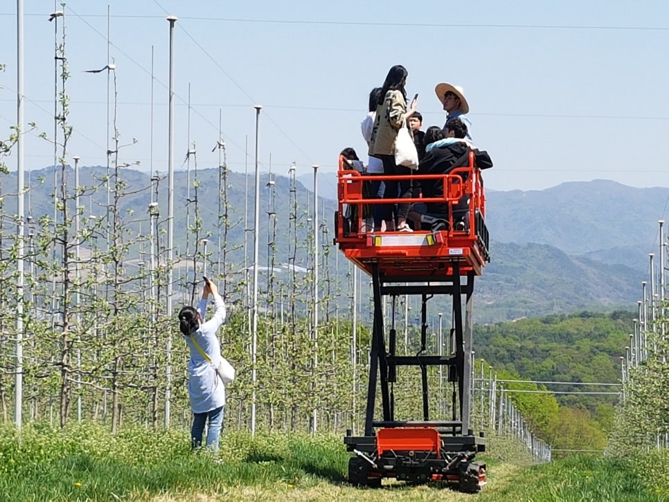 투어 팜(TOUR FARM) 이미지