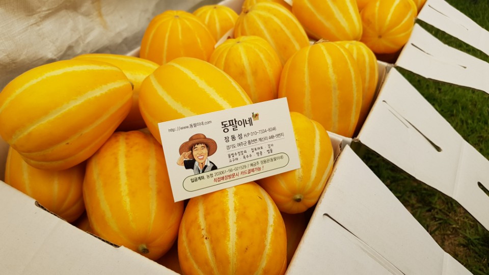 동팔이네 이미지