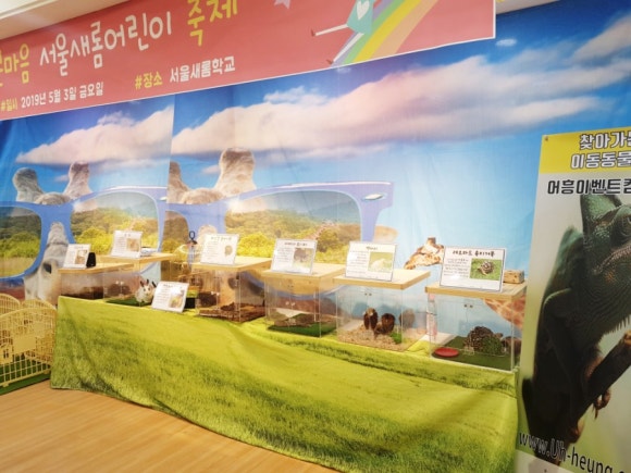 컴퍼니새롬 이미지