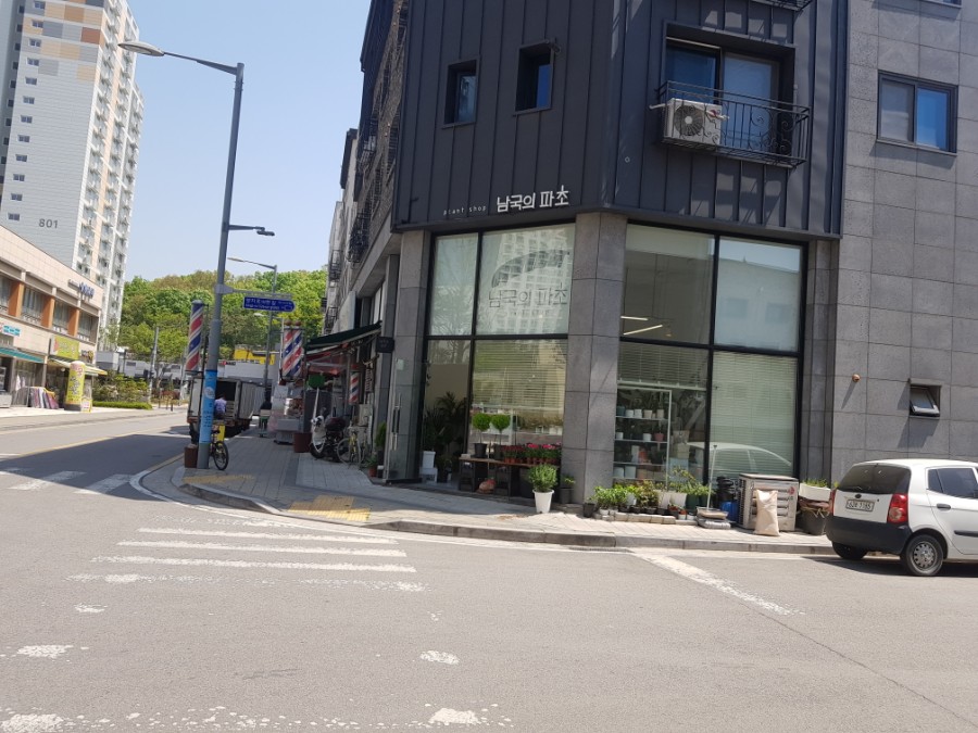 남국의파초 이미지