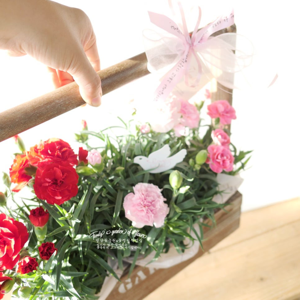 영남화분 이미지