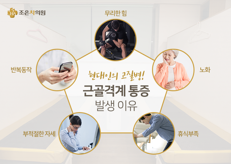 조은차의원 이미지