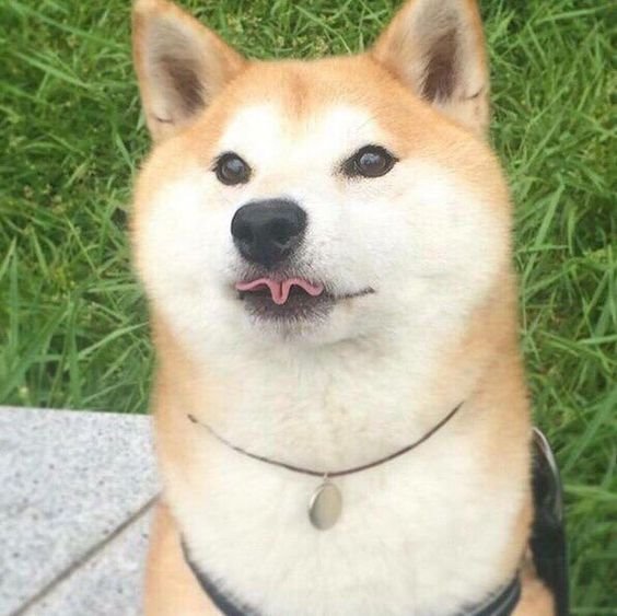 덩어리 이미지