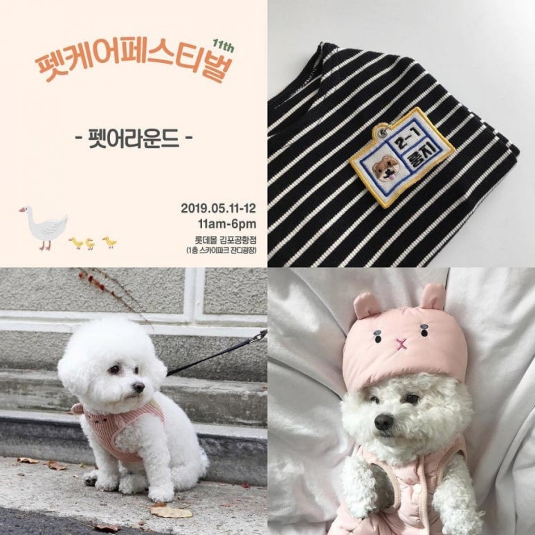 어라운드 퍼피 이미지