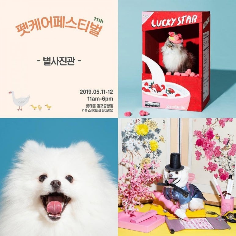 사진관혜윰 이미지