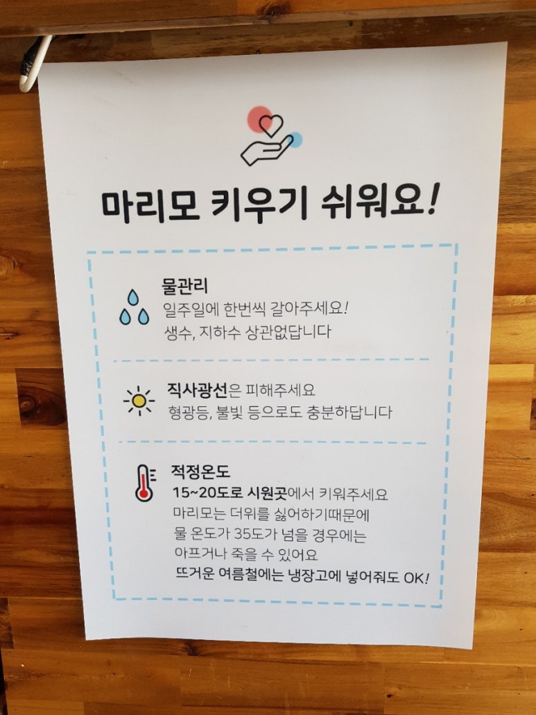 카페마리모 이미지