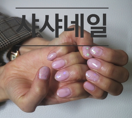 샤샤샵 이미지
