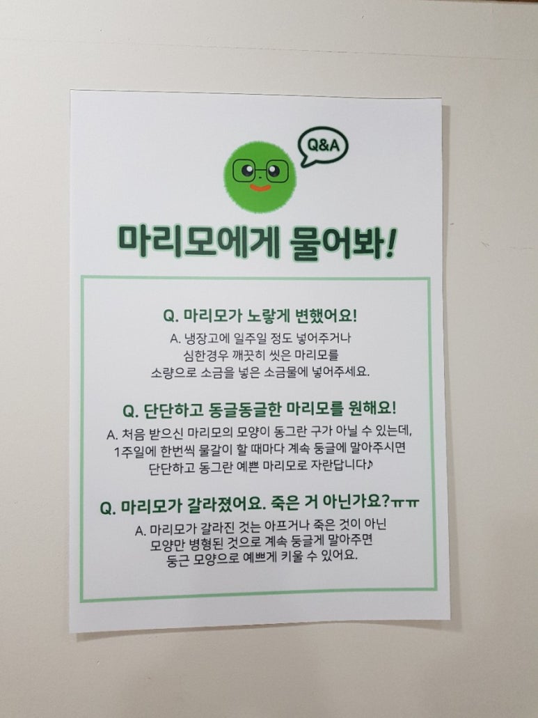 카페마리모 이미지