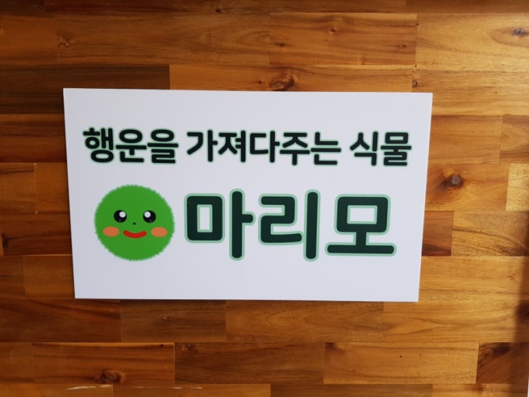 카페마리모 이미지