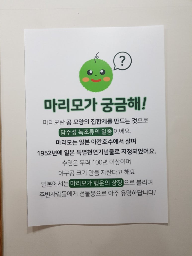 카페마리모 이미지