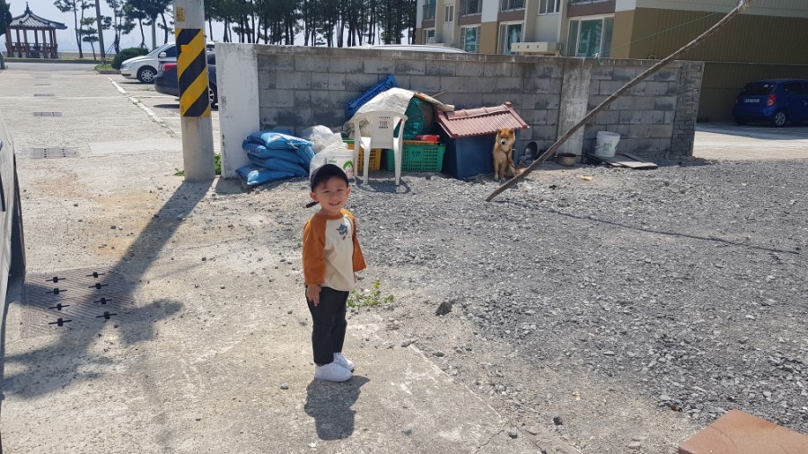 페리카나통닭환호점 이미지