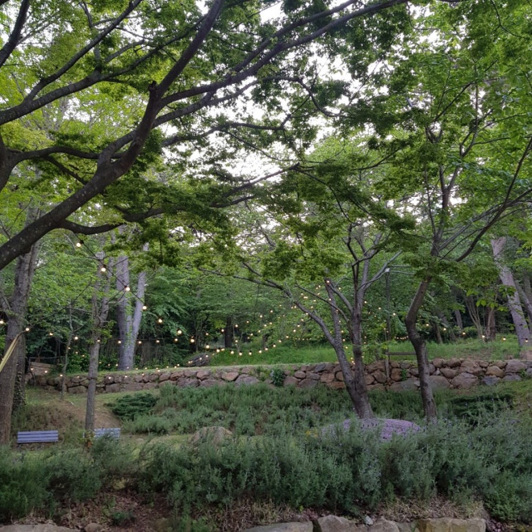 (주)유니크관광 이미지
