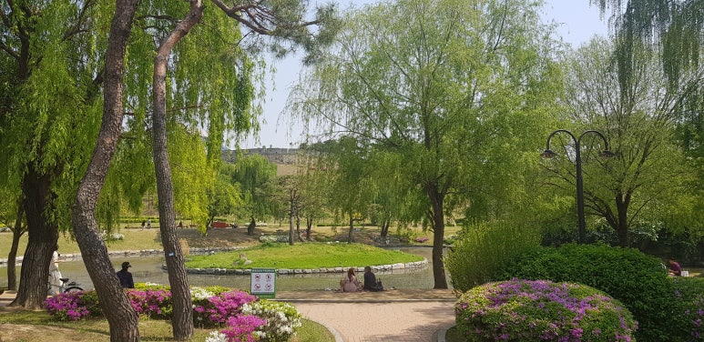 스페라 빈티지 이미지