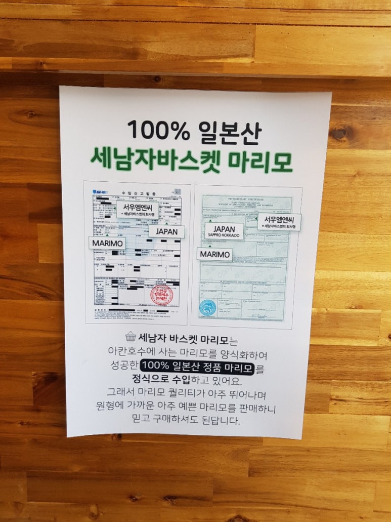 카페마리모 이미지