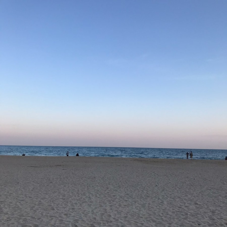 더베이카페 이미지