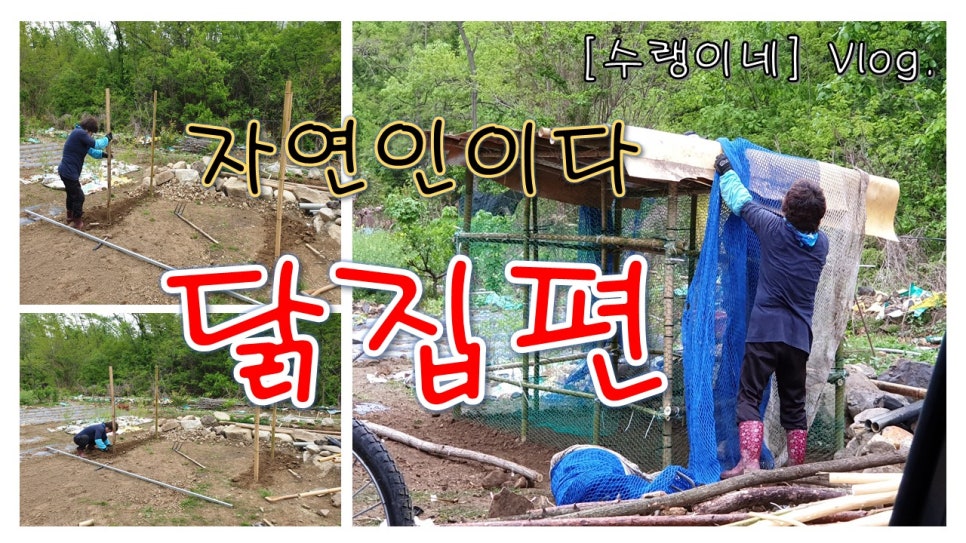 자연닭집 이미지
