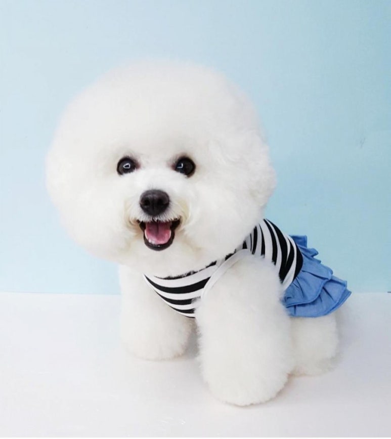 헬로핸지 이미지