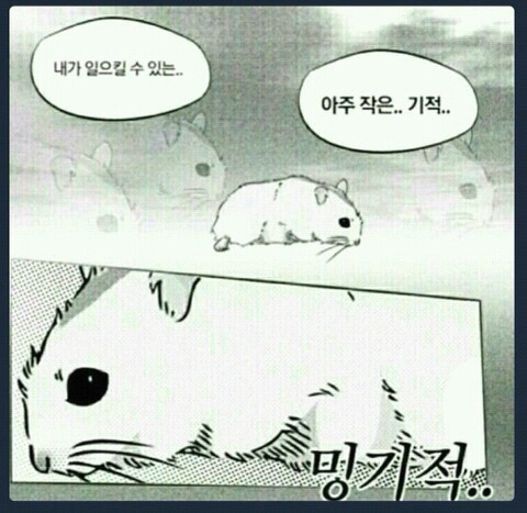 오늘도막창 이미지