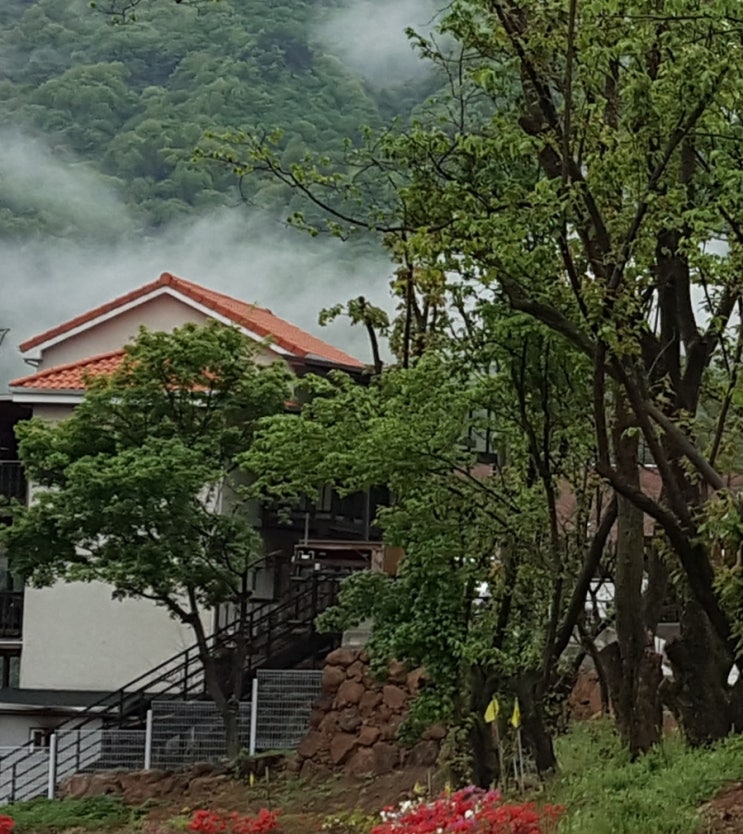 지리산녹차별펜션 이미지