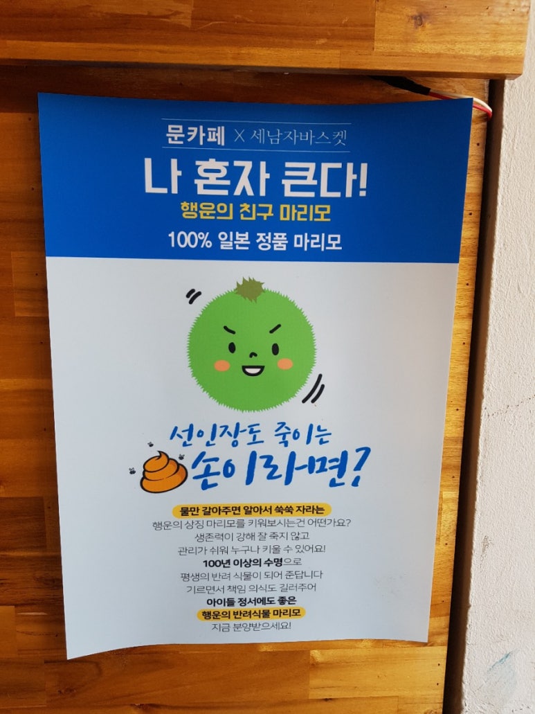 카페마리모 이미지